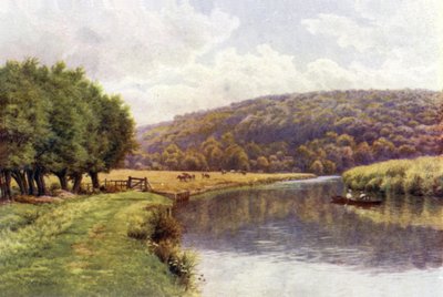 Quarry Woods, Marlow by Alfred Robert Quinton